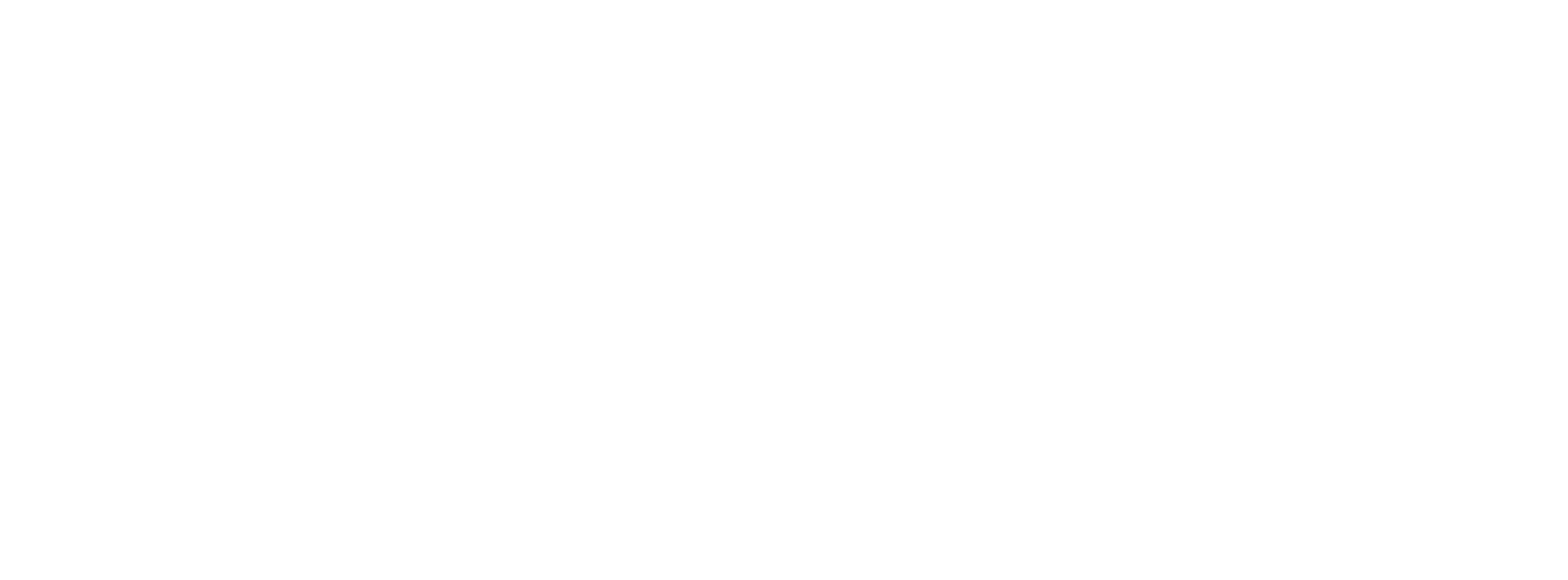 NN CPC Loop Den Haag Logo_DIAP