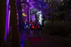 20260313-183846-Par-pa-fotografie-CPNightwalk-8365