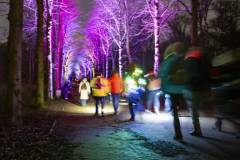 20260313-185608-Par-pa-fotografie-CPNightwalk-8452