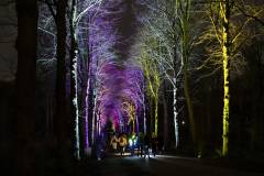 20260313-185620-Par-pa-fotografie-CPNightwalk-8458