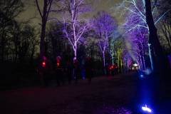 20260313-185946-Par-pa-fotografie-CPNightwalk-8472