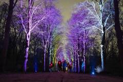 20260313-190111-Par-pa-fotografie-CPNightwalk-8486