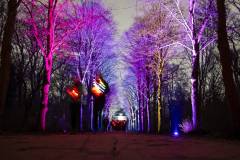 20260313-190229-Par-pa-fotografie-CPNightwalk-8500