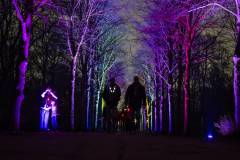 20260313-190356-Par-pa-fotografie-CPNightwalk-8524