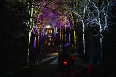 20260313-190806-Par-pa-fotografie-CPNightwalk-8557