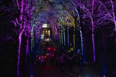 20260313-190825-Par-pa-fotografie-CPNightwalk-8578