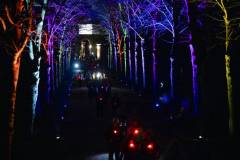 20260313-191128-Par-pa-fotografie-CPNightwalk-1188