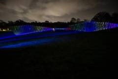 20260313-192725-Par-pa-fotografie-CPNightwalk-8651